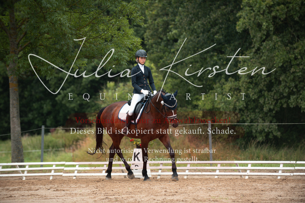 DSC_9900 | Pferde- und Turnierfotografie in Westsachsen. Pferdeportraits, Auftragszeichnungen und intuitive Kunst.