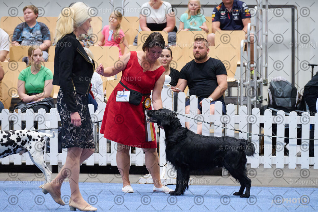 202406_ÖKV-IHA-Tulln24_DSC_4861 | proPHOTO - Realisiert mit Pictrs.com