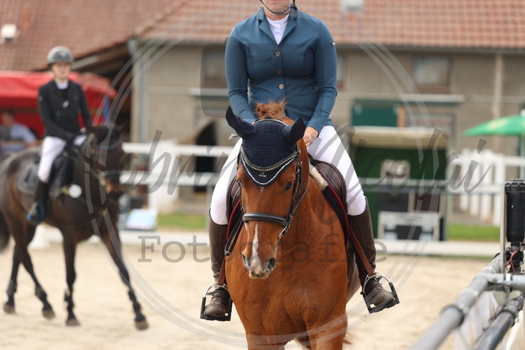 994A7451 | sabrinanicolaifotografie - Realisiert mit Pictrs.com