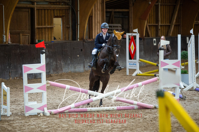 IMG_1804 | Turniersportfotografie; Pferdefotografie; Dressurfotografie