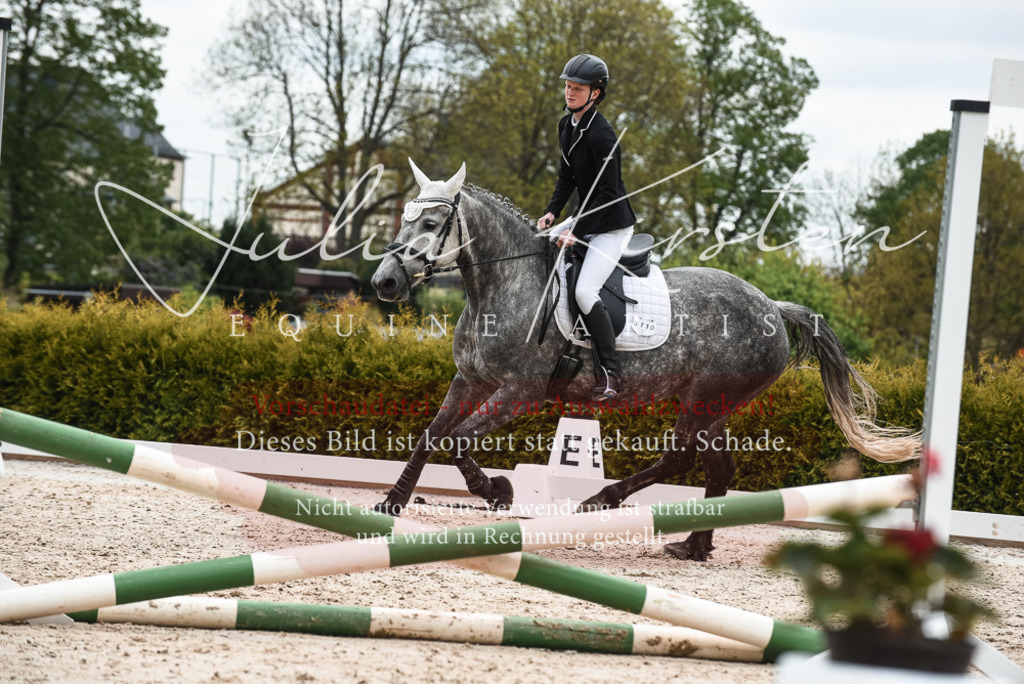 20230518_JK-Röhrsdorf-10-407 | Pferde- und Turnierfotografie in Westsachsen. Pferdeportraits, Auftragszeichnungen und intuitive Kunst.