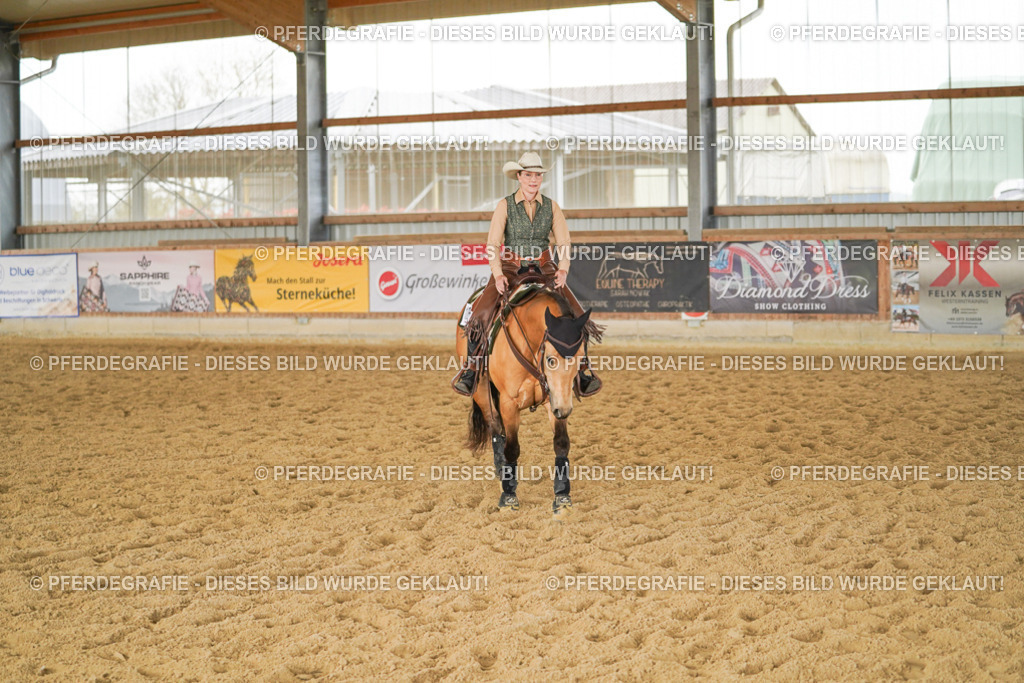 DSC05183 | Pferdegrafie