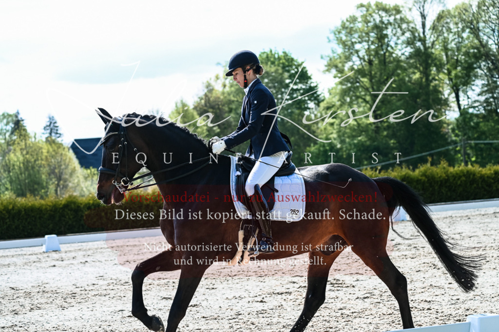 20230513_JK-Röhrsdorf-10-0408 | Pferde- und Turnierfotografie in Westsachsen. Pferdeportraits, Auftragszeichnungen und intuitive Kunst.