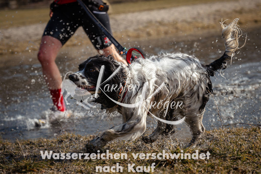 1104_ZZ92118 | kk-dogfotos