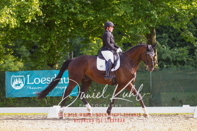 DKP41253 | Turniersportfotografie; Pferdefotografie; Dressurfotografie