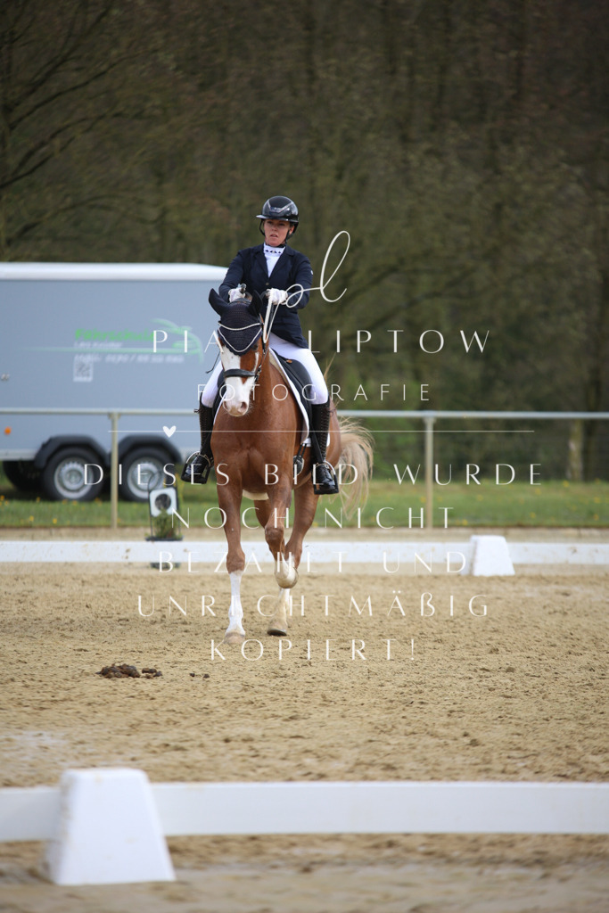 IMGT6923 | pl-fotografie