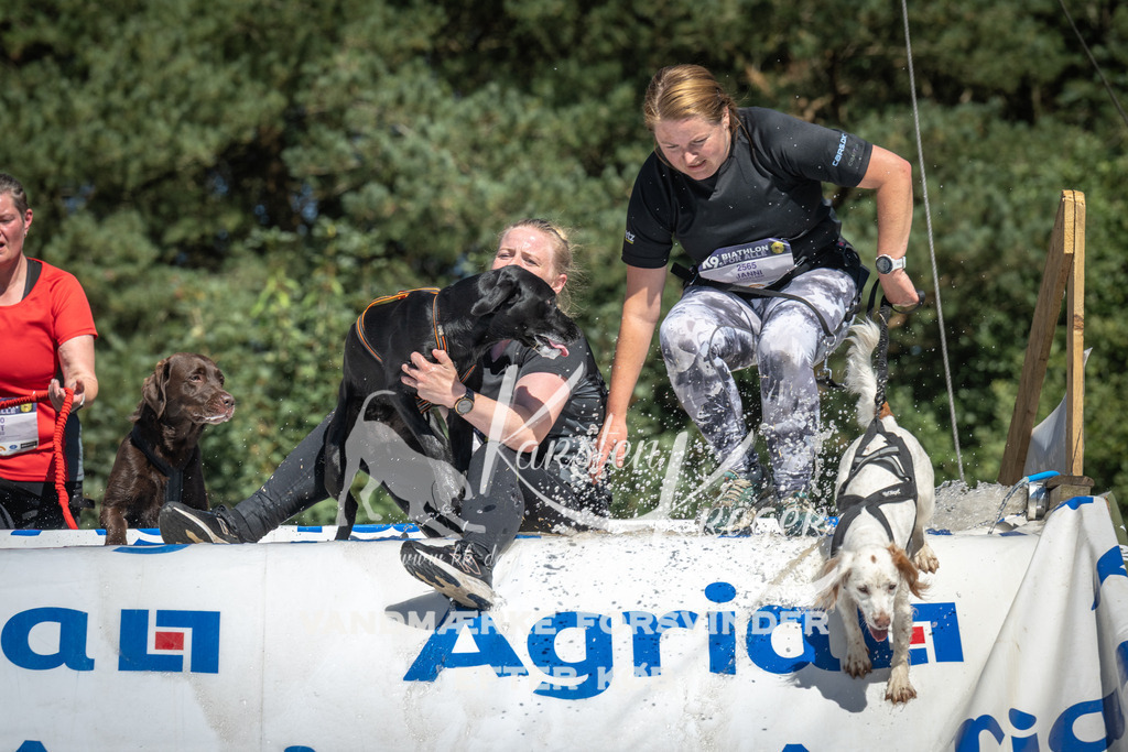 1414_ZZ92980 | kk-dogfotos