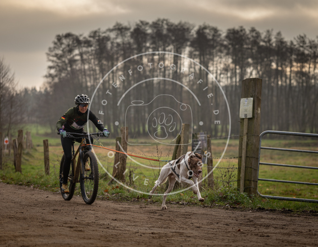 Pfotenfotografie_DV3A1811 | Hundefotografie, Tierfotograf, Pfotenfotografie, Fotoshooting Hund, Hunde Portrait, Hundesport, Hundeportraits, Heideshooting, Hunde, Sportfotograf, Hundefotograf, Turnierhundsport, THS,  - Realisiert mit Pictrs.com
