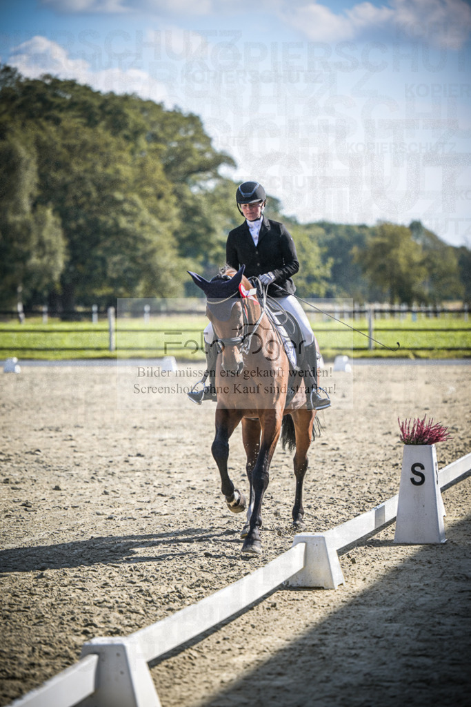 DOS_0148 | Entdecke hochwertige Reitturnierfotos von Foto Oger. Professionell, emotional und authentisch – jetzt Lieblingsmomente im Shop bestellen.Deutschlandweite Turnierfotografie. - Realisiert mit Pictrs.com