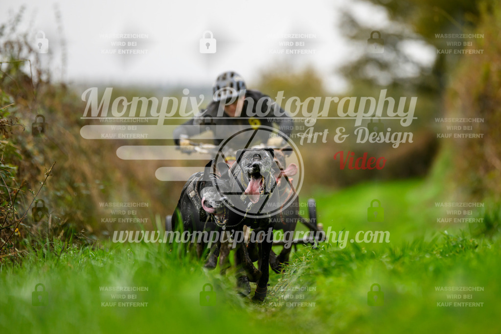 MompixPhotography_20TSB_E8_Kart-14 | PayLife