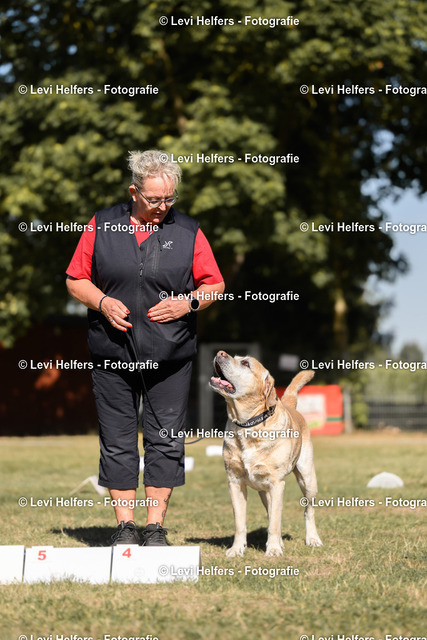 _DSC5401 | levihelfersfotografie