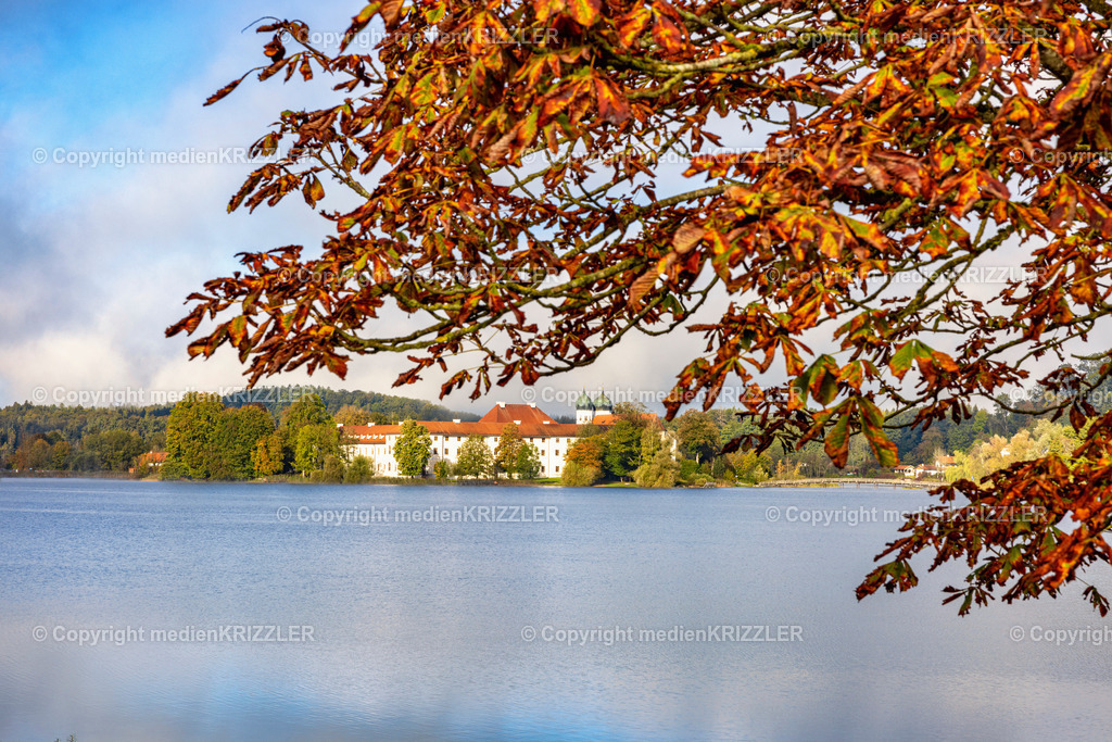 _J3A5914 | medienkrizzler - Realisiert mit Pictrs.com