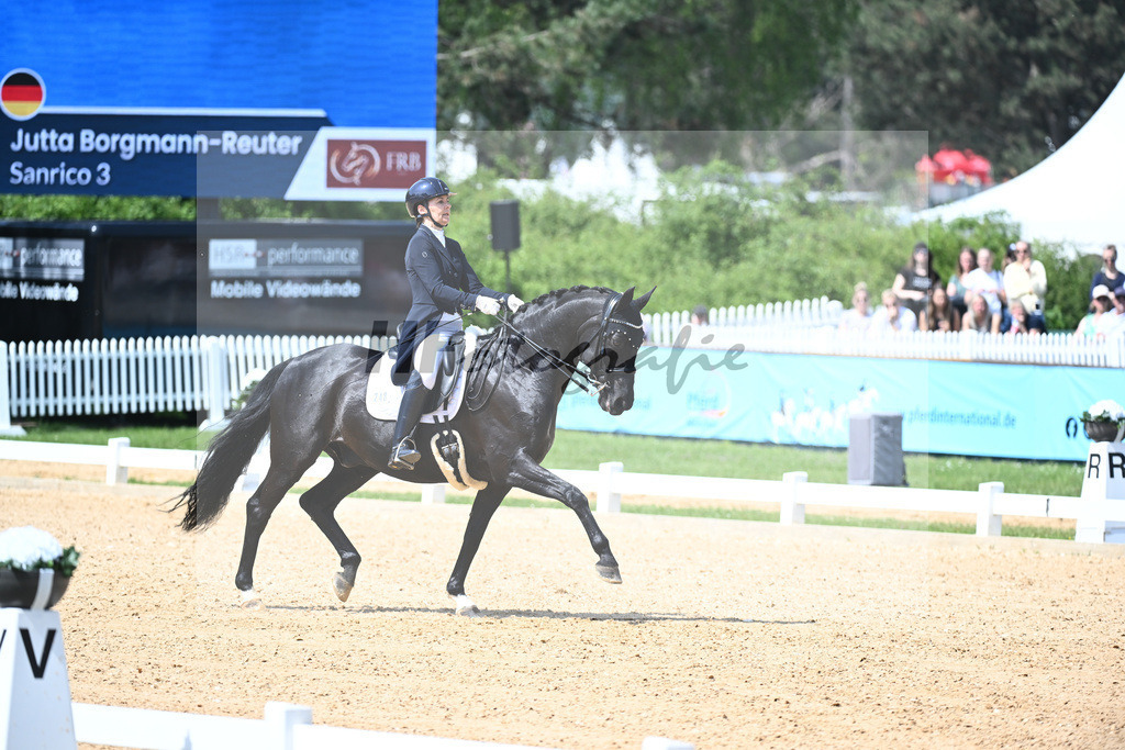 Borgmann-Reuter_Sanrico_12243674 | hf-fotografie - Realisiert mit Pictrs.com