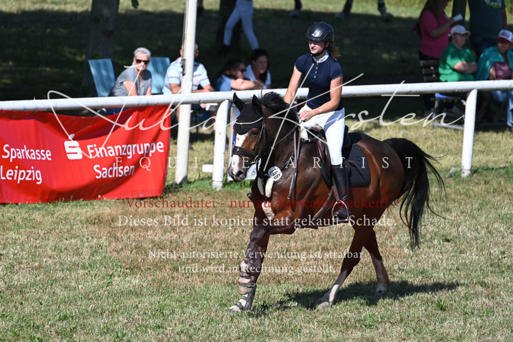 DSC_2037 | Pferde- und Turnierfotografie in Westsachsen. Pferdeportraits, Auftragszeichnungen und intuitive Kunst.