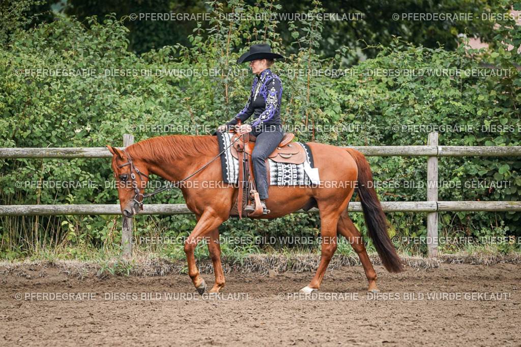 DSC01849 | Pferdegrafie