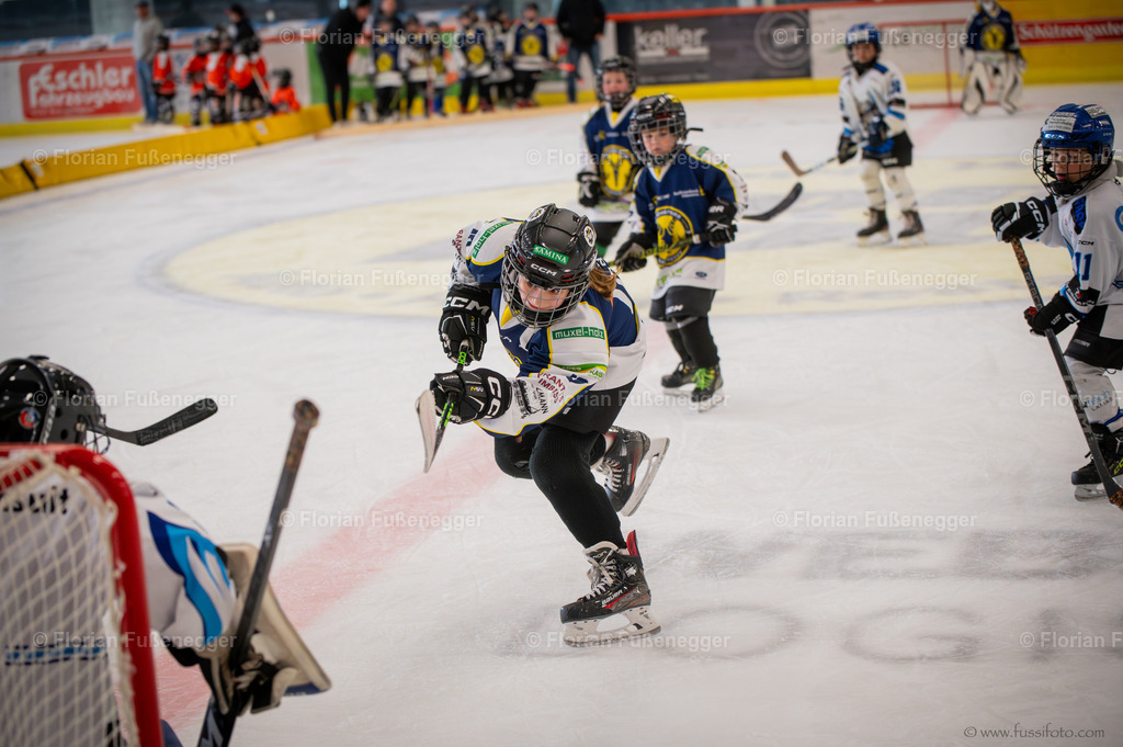 DSC_1858 | "Fussifoto.com – Ihr Ansprechpartner für hochwertige Fotografie! Entdecken Sie kreative Bilder und professionelle Dienstleistungen. Kontaktieren Sie uns für Ihre Projekte!"