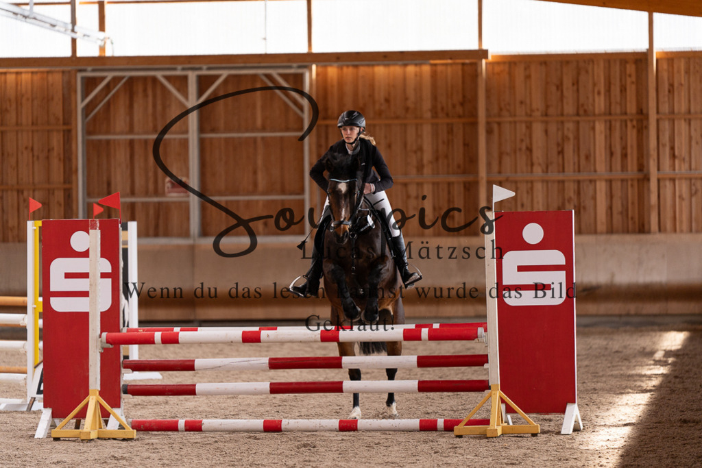 A7507788 | Pferdefotograf