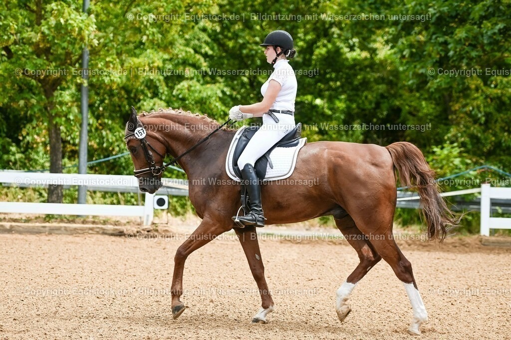20230715_05_Dressurprüfung Kl.A++_0003 | equistock