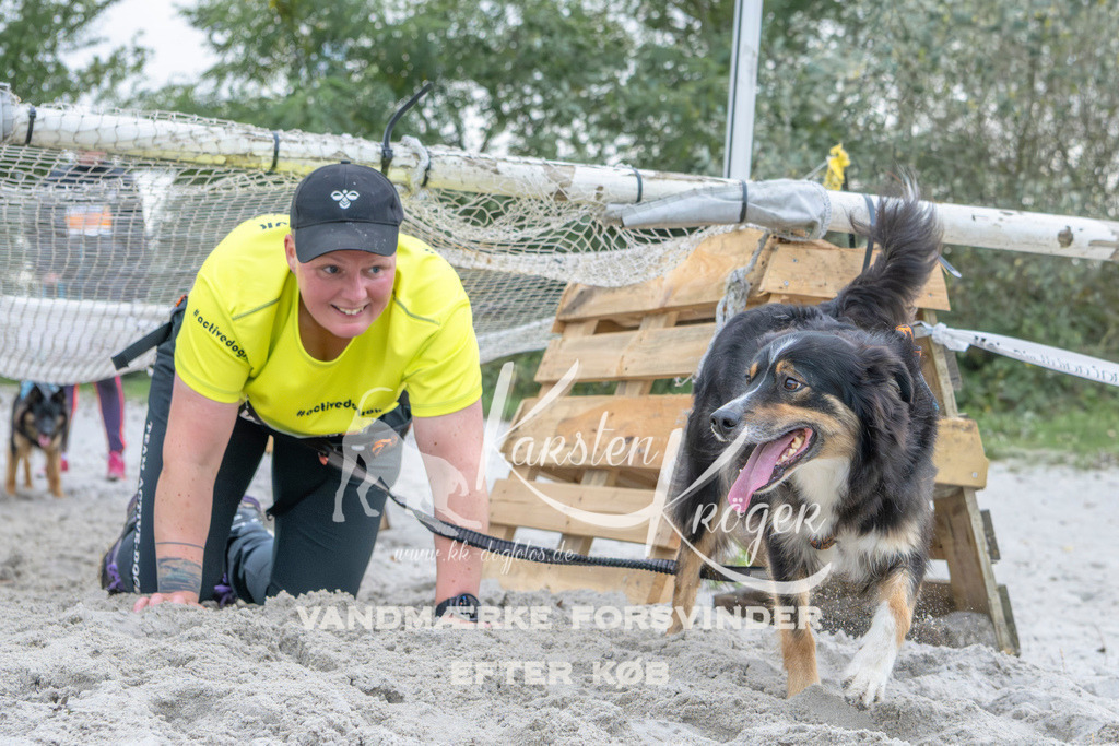 1123_ZZ96271 | kk-dogfotos