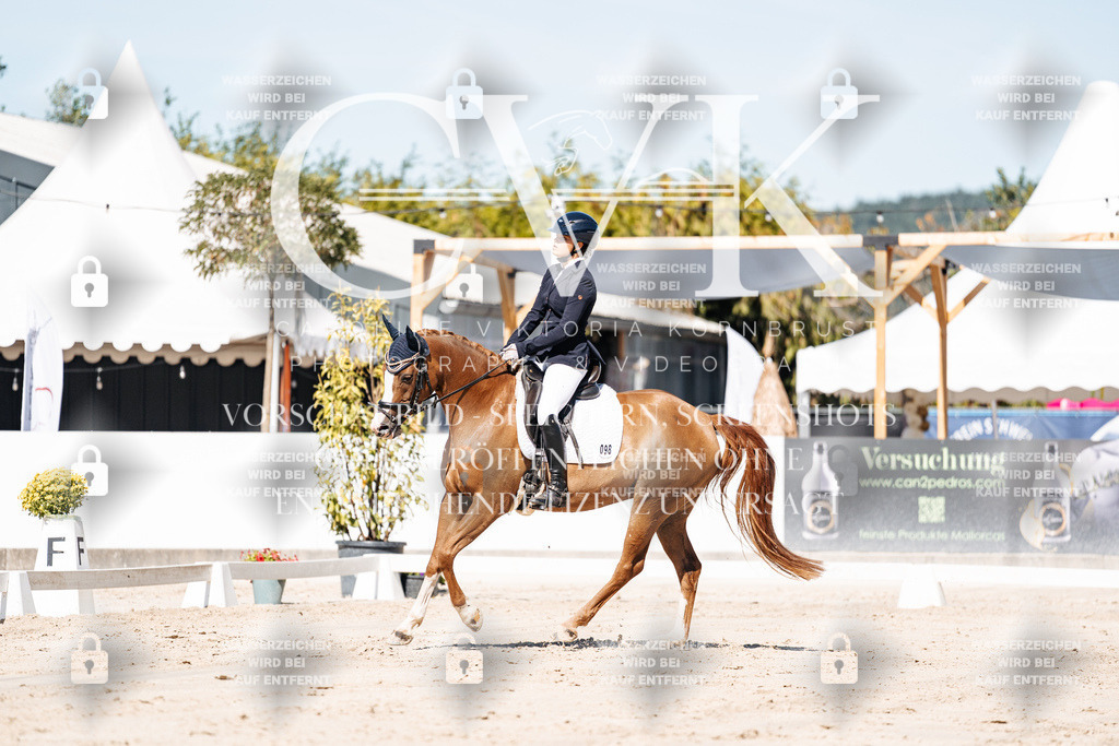 CK909178 | Turnierfotografie Pferdefotografie Trier Rheinland-Pfalz Pferdesport Reitsport Tierfotografie Sportfotografie Pferdevideo Pferdevideografie Equestrianvideography equestrianphotography  - Realisiert mit Pictrs.com
