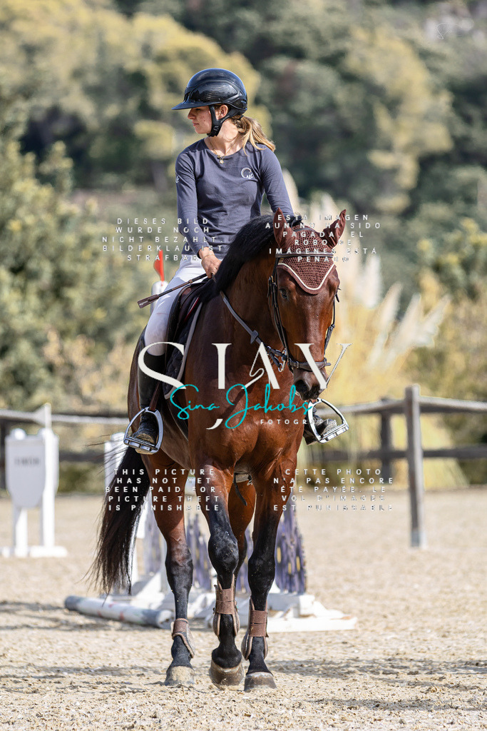 IMG_3703 | s-jay-photography - Realisiert mit Pictrs.com