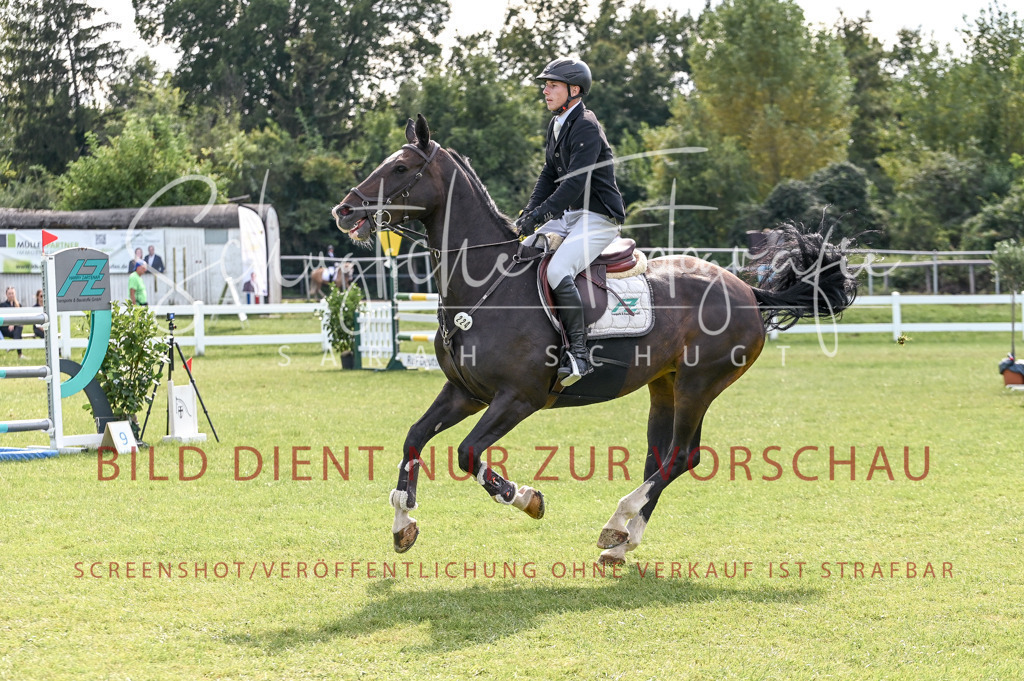 Schugtsche-Düren.2024-10.Springprf.M_-19 | Schugtsche Fotografie - Realisiert mit Pictrs.com