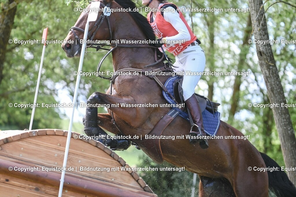 20250517_CCI2_Gelände_1129 | Foto: Thomas Hartig