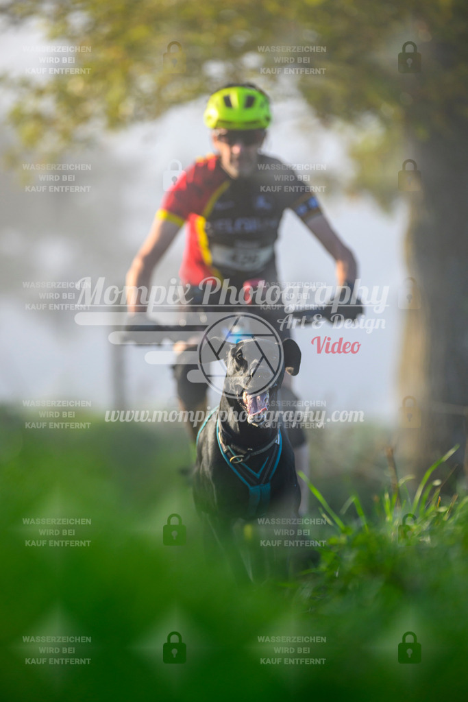 MompixPhotography_20TSB_E3_Bike-52 | PayLife