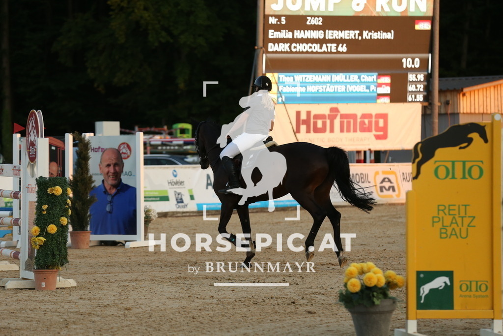 DL2Q5883 | Willkommen bei Brunnmayr - Design & Fotografie – Ihrem Spezialisten für Reitturniere und Pferdeveranstaltungen in Oberösterreich, Salzburg und Bayern! Seit über 17 Jahren sind wir leidenschaftlich dabei.