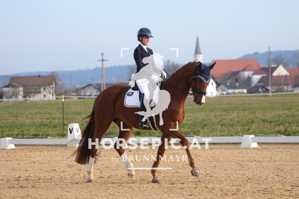 0P6A5922 | Willkommen bei Brunnmayr - Design & Fotografie – Ihrem Spezialisten für Reitturniere und Pferdeveranstaltungen in Oberösterreich, Salzburg und Bayern! Seit über 17 Jahren sind wir leidenschaftlich dabei.