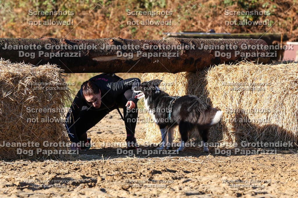 Dog Paparazzi - Strongdog 10-25-1413 | Dog Paparazzi Jeanette Grottendiek Fotografie & Videografie - Realisiert mit Pictrs.com