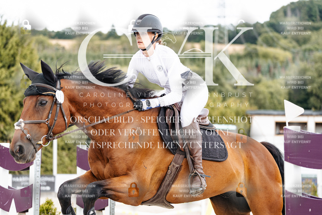CK902684 | Turnierfotografie Pferdefotografie Trier Rheinland-Pfalz Pferdesport Reitsport Tierfotografie Sportfotografie Pferdevideo Pferdevideografie Equestrianvideography equestrianphotography  - Realisiert mit Pictrs.com