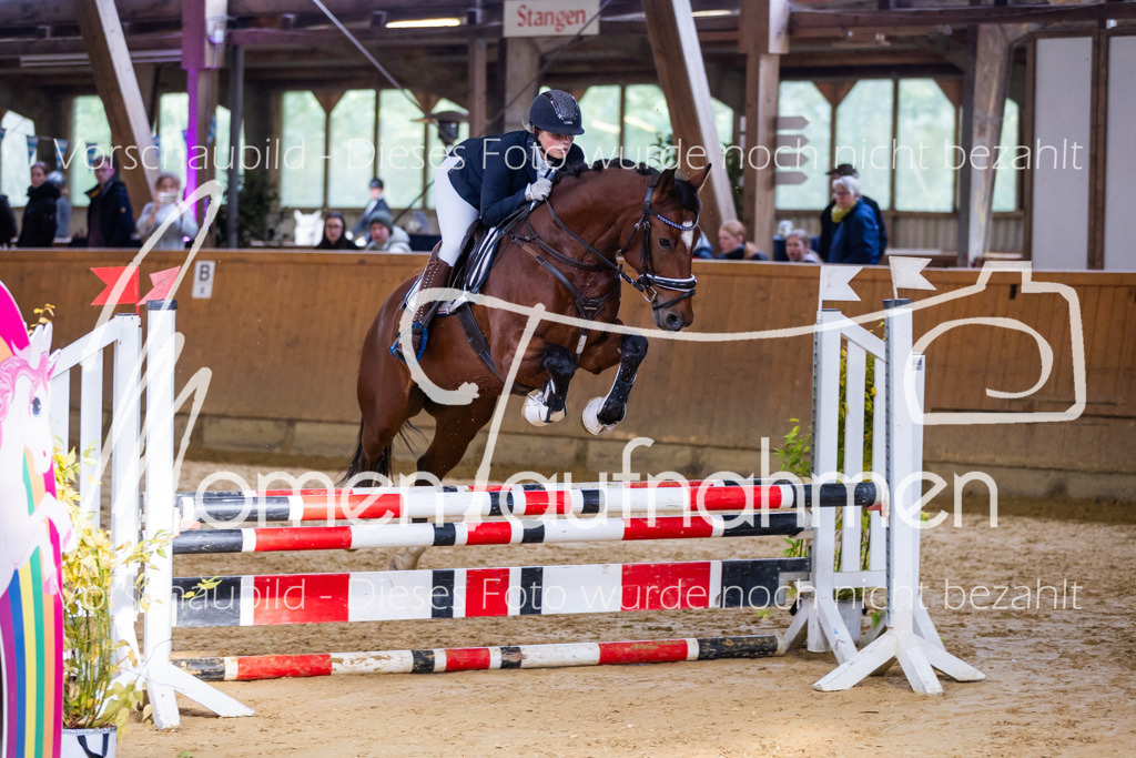 Sth-A-Springen-066 | MomenTaufnahmen Pferdesportfotos