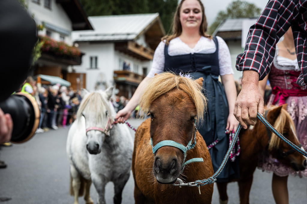Rupertifest_Flachau_2k25_Webauflösung-211 | Bildershop Chri Fischbacher - Realisiert mit Pictrs.com