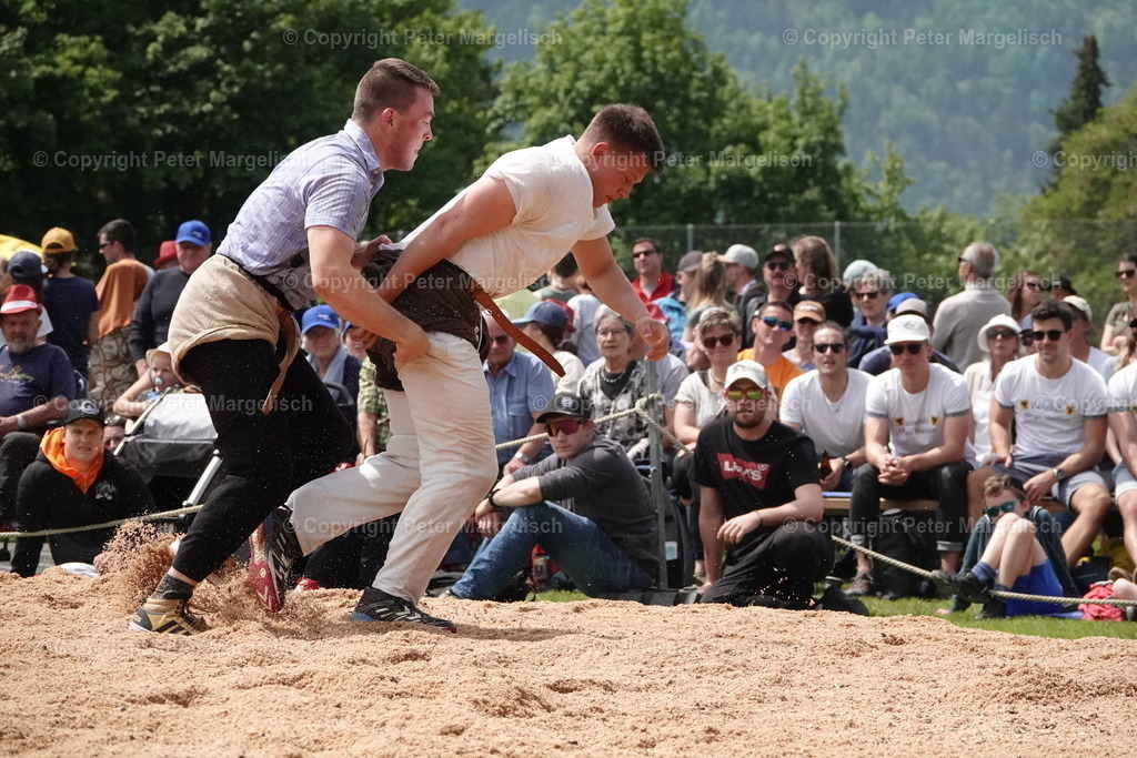 DSC04138 | Schwingen - Realisiert mit Pictrs.com