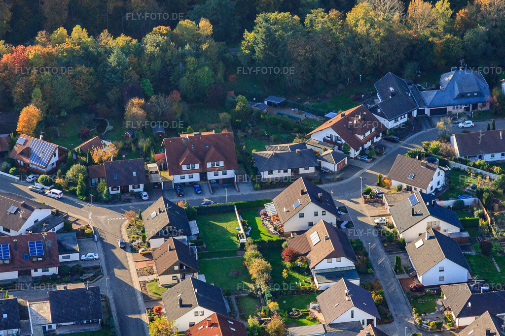 Luftbild: Südring in Rülzheim im Bundesland Rheinland-Pfalz in Deutschland. Foto: IMG_60460.jpg vom 24.10.2013 durch Werner Riehm/FLY-FOTO.de