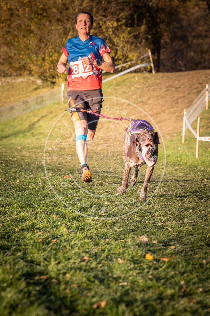 CaniXpix_0L8A1173 | Hundefotografie, Tierfotograf, Pfotenfotografie, Fotoshooting Hund, Hunde Portrait, Hundesport, Hundeportraits, Heideshooting, Hunde, Sportfotograf, Hundefotograf, Turnierhundsport, THS,  - Realisiert mit Pictrs.com