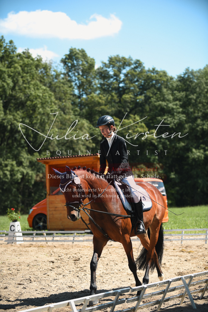 DSC_2256 | Pferde- und Turnierfotografie in Westsachsen. Pferdeportraits, Auftragszeichnungen und intuitive Kunst.