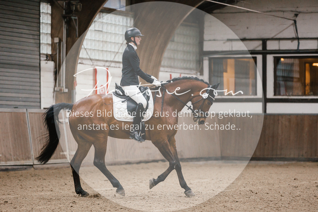 3I6A5987 | Stimmungsvolle Portraits und Reitsportfotografie im Ruhrgebiet und im Münsterland.

Pferdefotografie, Hundefotografie, Tierfotografie, Reportagen, Portraits von Tier und Mensch, Turnierfotografie in Bochum, Recklinghausen, Marl, Haltern am See, Dülmen.. - Realisiert mit Pictrs.com