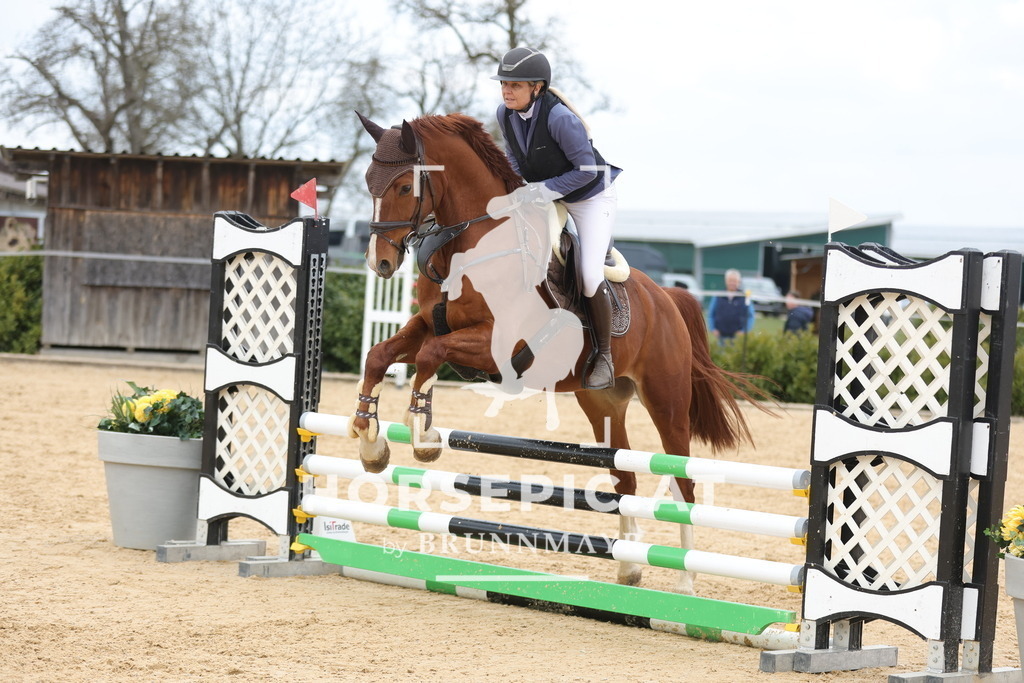 0P6A8053 | Willkommen bei Brunnmayr - Design & Fotografie – Ihrem Spezialisten für Reitturniere und Pferdeveranstaltungen in Oberösterreich, Salzburg und Bayern! Seit über 17 Jahren sind wir leidenschaftlich dabei.