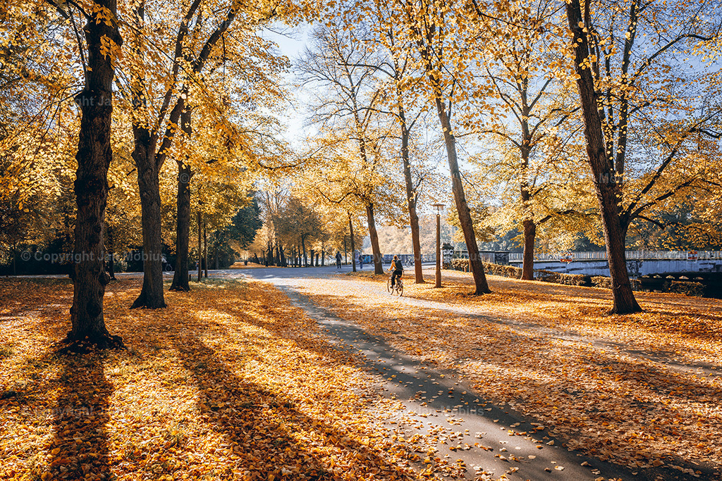 _DSC7414 | Leipzig Wandbilder Drucke Prints Leinwand Stadtmotive Leipzig Fotosdruck Kunstdrucke Bilder Leipzig Stadtansichten Acrylglasbilder Leipzig Wanddeko Fine Art Prints Wandbilder Büro Leipzig Bilder Praxis Zuhause Bilderdruck Poster Posterlounge Kunstdrucke - Realisiert mit Pictrs.com