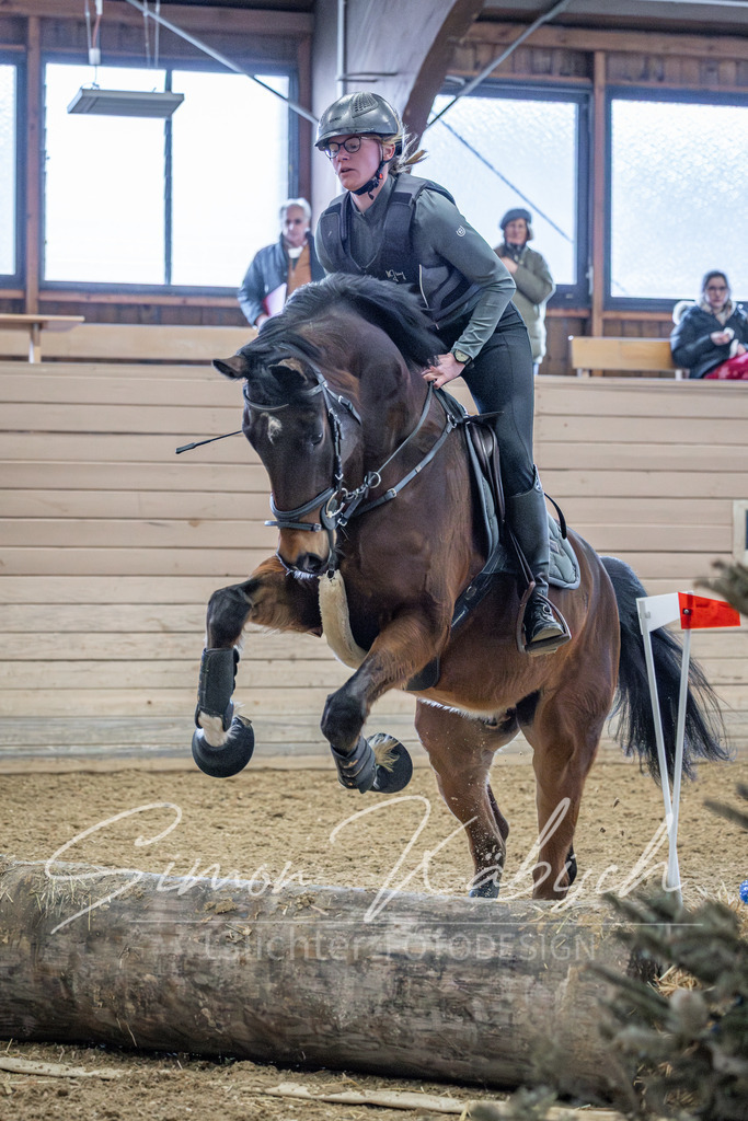20260221-_3LI9930 | Tierfotografie Pferde, Hunde, Katzen, Haustiere.
Turnierfotografie Reitturniere, Reiten, Springreiten, Dressur in Hanau, dem Main-Kinzig-Kreis und dem Rhein-Main- Gebiet um Frankfurt