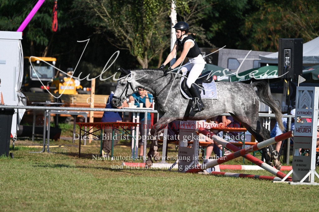 DSC_4875 | Pferde- und Turnierfotografie in Westsachsen. Pferdeportraits, Auftragszeichnungen und intuitive Kunst.