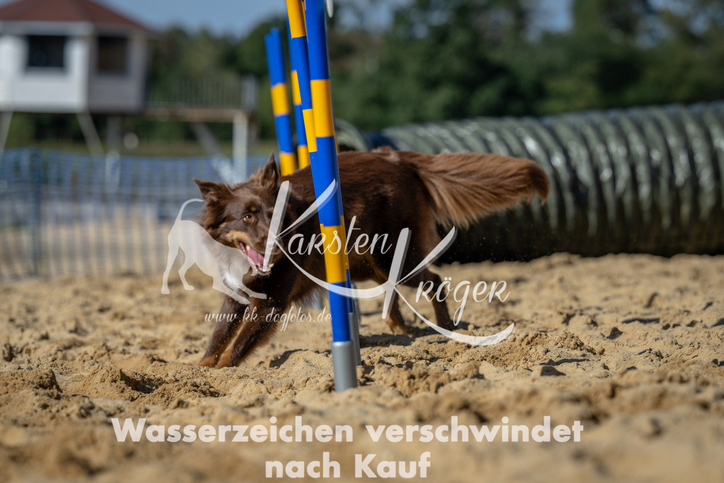 1233_ZZ93355-2 | kk-dogfotos