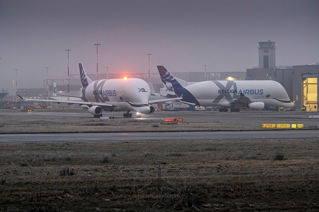 BelugaXL-XL3+XL4-Finkenwerder-20250104-1-topaz-sharpen-denoise | Browse breathtaking aviation photography and order high-quality prints from AviatoRay's gallery. Perfect for enthusiasts and collectors. - Realisiert mit Pictrs.com