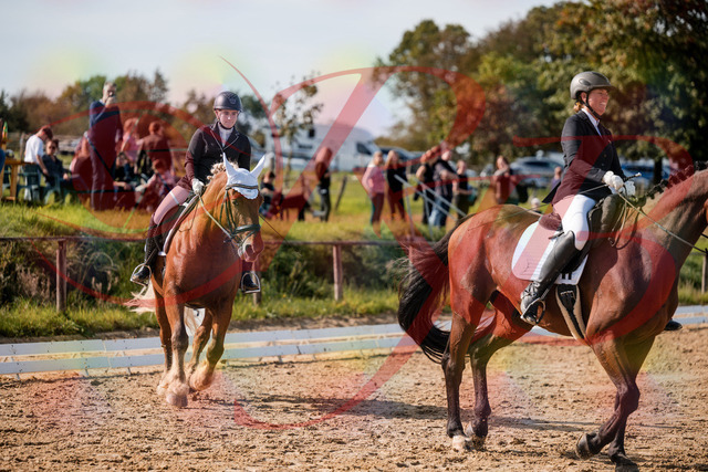 2026_10_03_Siefer-Hof_130327_Z63_65698769 | Professionelle Reitsport-, Turnier- und Eventfotografie von Robert Broda. Galerien mit ausgewählten und bearbeiteten Bildern direkt online ansehen und bestellen.