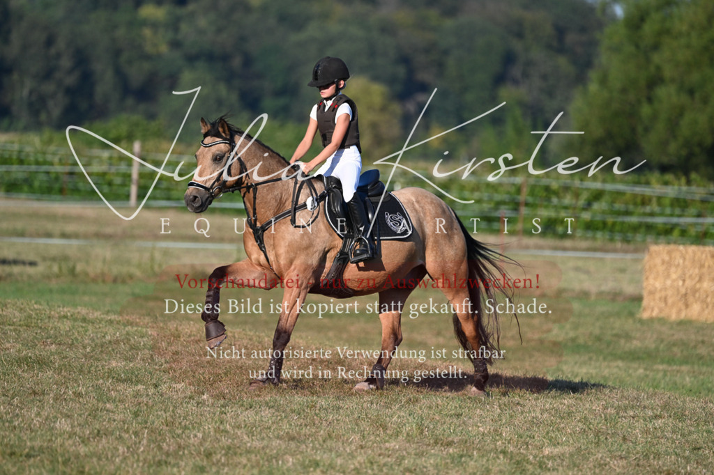 DSC_9187-2 | Pferde- und Turnierfotografie in Westsachsen. Pferdeportraits, Auftragszeichnungen und intuitive Kunst.