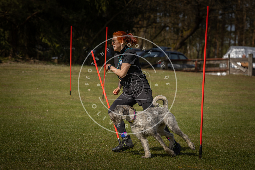 Pfotenfotografie_DV3A4544 | Hundefotografie, Tierfotograf, Pfotenfotografie, Fotoshooting Hund, Hunde Portrait, Hundesport, Hundeportraits, Heideshooting, Hunde, Sportfotograf, Hundefotograf, Turnierhundsport, THS,  - Realisiert mit Pictrs.com