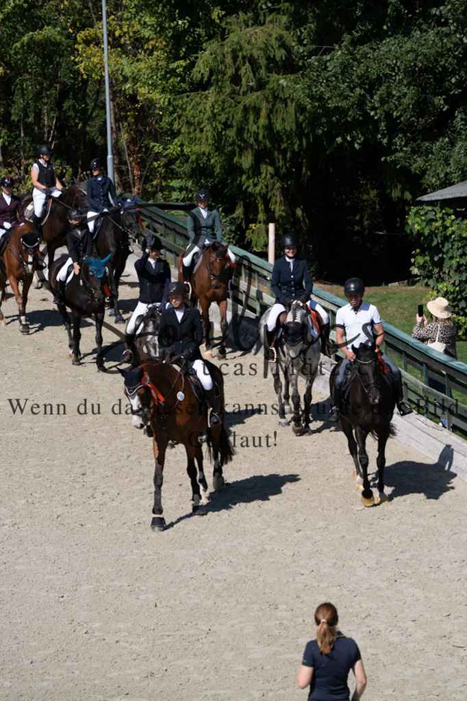 A7V07452 | Pferdefotograf