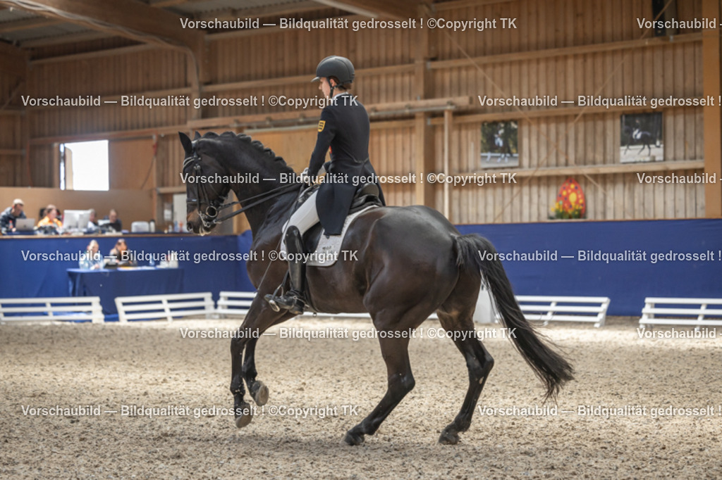 _D5A2909 | Emotionale Pferde- & People-Fotografie rund um Heidelberg, Leimen & Umgebung. Natürliche Fotos von Pferd, Mensch & Familie. Jetzt Termin sichern!